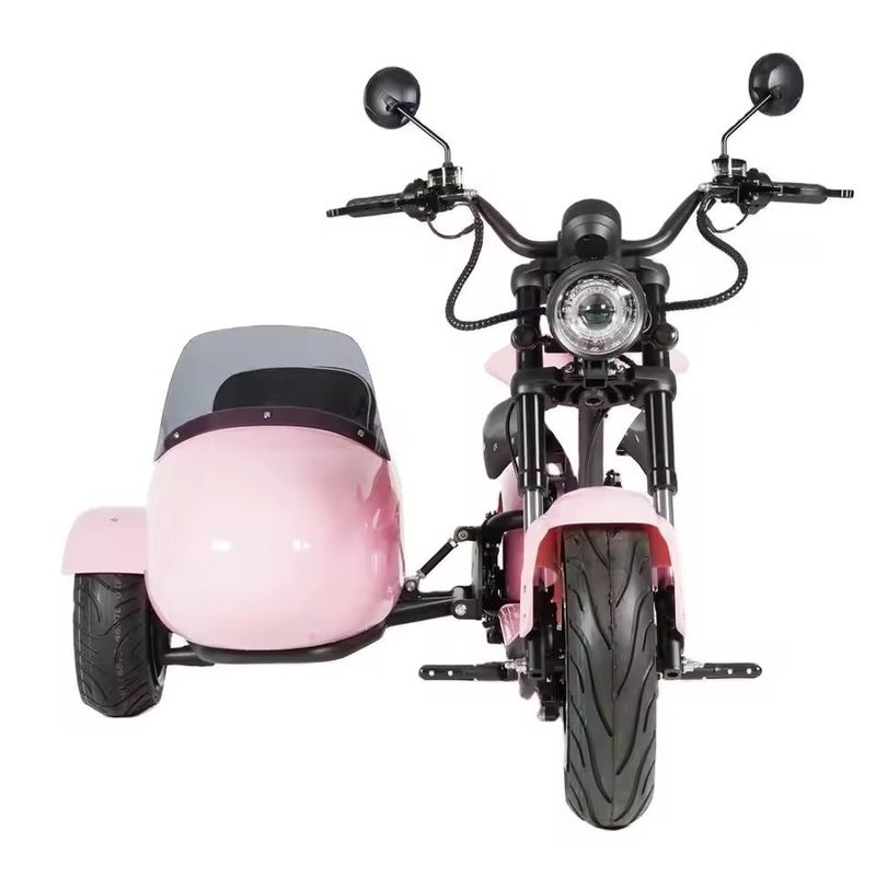 Elektrische sidecar motorfiets met huisdier drager 1000W-3000W 60-80km Bereik 41-50km/h Maximale snelheid
