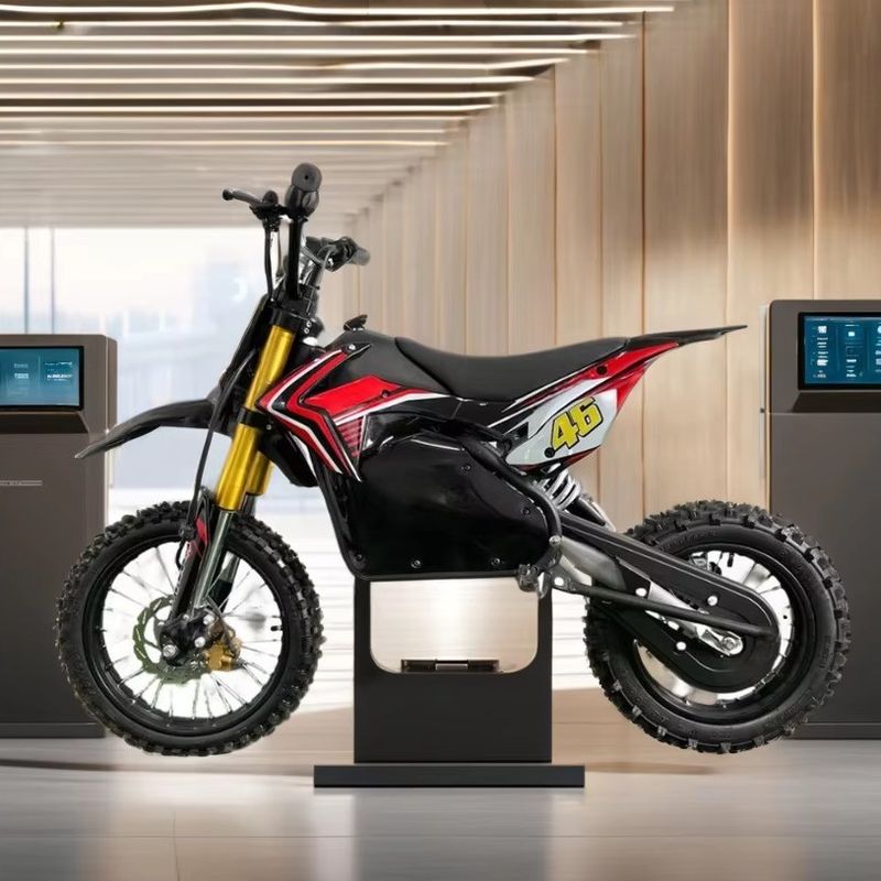Voor- en achtermechanische schijfrem Elektrische vuilfietsen voor kinderen 1200W/1000W/1500W