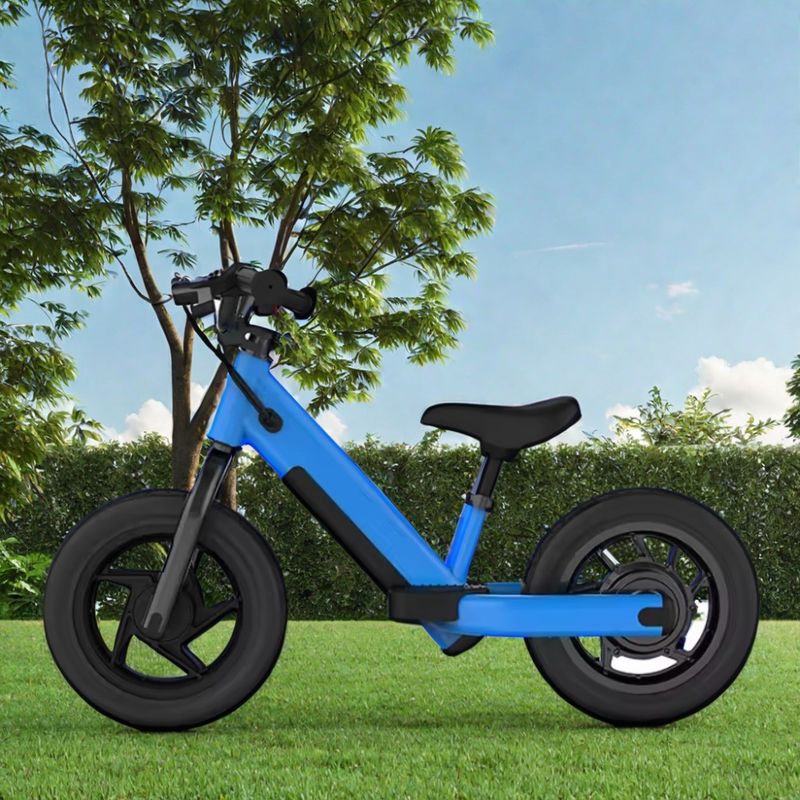 Elektrisch aangedreven kinderen Balance Bike Mini Bike Disc Brake en Steel Frame voor peuters