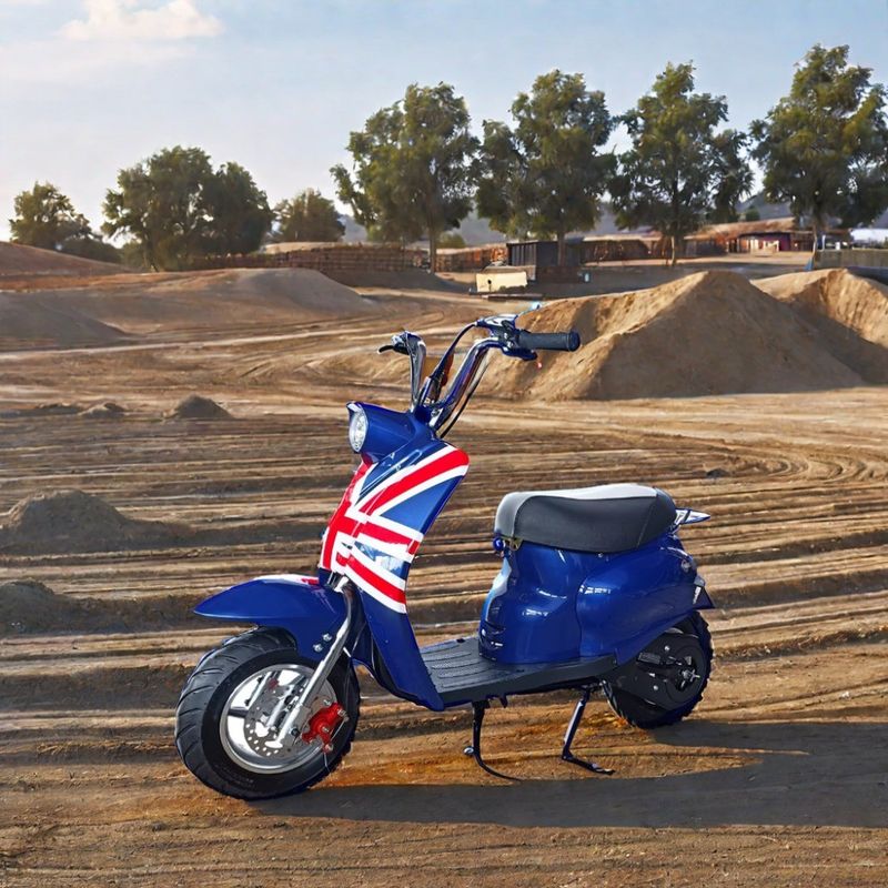 DISC rem 49cc gas aangedreven Mini Dirt Bike voor kinderen' outdoor fun in aangepaste kleuren
