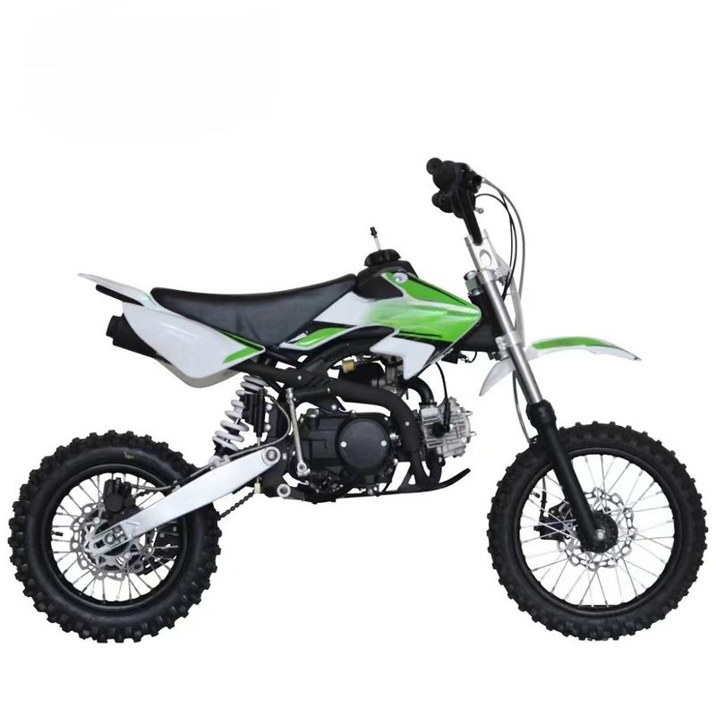 Gepersonaliseerde kleuren ondersteunde 125cc pitbike motorfiets met elektrische start efficiëntie
