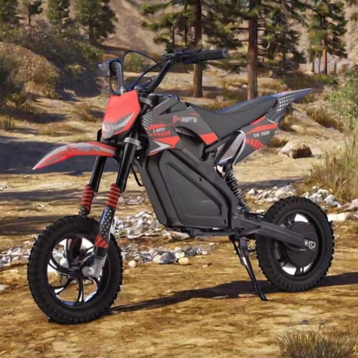 350W Motor Power Kids Dirt Bike 24v 500W Elektrische motorfiets met voor- en achterrem