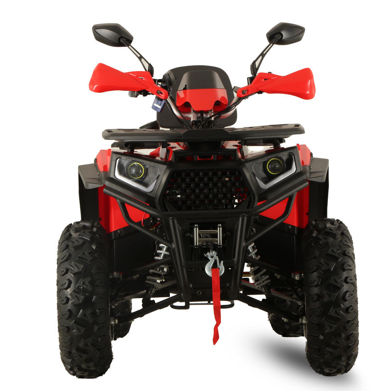 High Power GY6 200CC/250CC Automatic Quad Bike voor volwassenen 10INCH Farm ATV Off Road