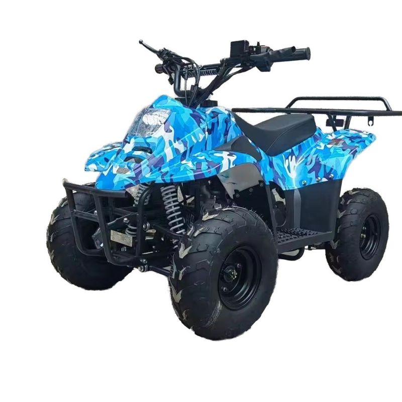125cc All-Terrain Beach Buggy Fuel Gas 70CC/110CC Automatic Quad ATV Buggy voor tieners Racing