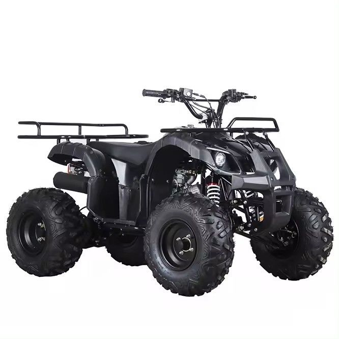 Keten aandrijving 110cc/125cc 4 Takt All-Terrain Vierwiel Beach Buggy Benzine Quadbike