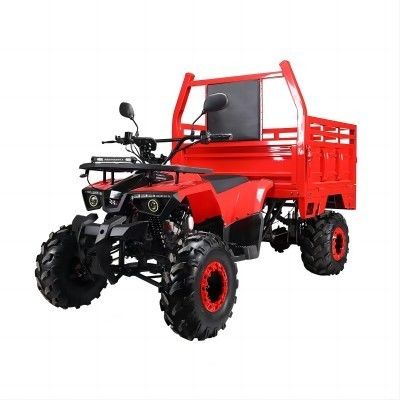 Farm ATV Aotong 125cc/150cc met aanhangwagen en vrachtbus 2WD 4WD Off Road ATV Spanning 12V