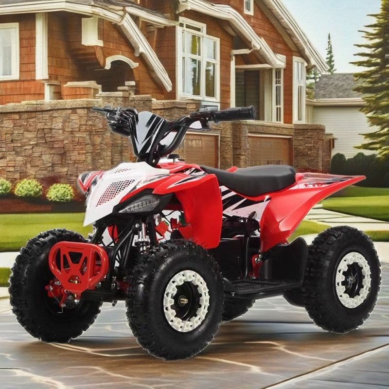 36V Kids Quad Electric 1000w Atv 125cc 6 inch Automatic Quad Motorcycle voor kinderen 2WD