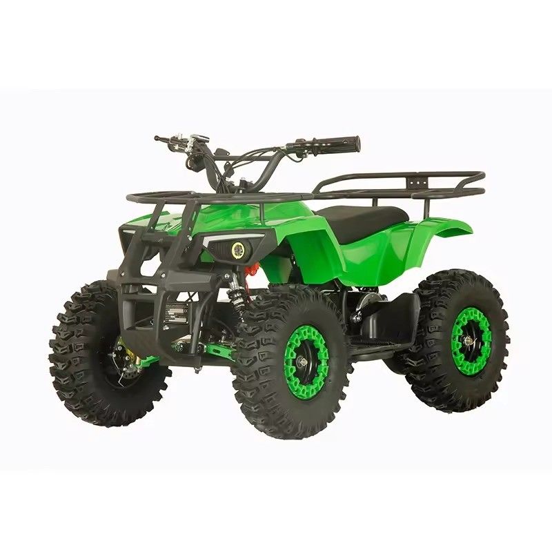 Street Legal 1200W ATV Four Wheels Quad Bike met 2WD en 30-50km rijstervaring