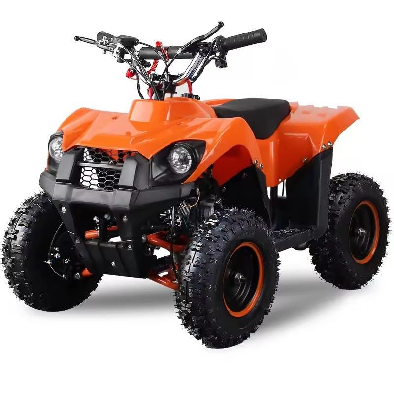 1000W 2024 Twee-takt 49cc Kids Gas Dirt Bike Mini Citycoco Scooter Motorfiets ATV Pocket Bike
