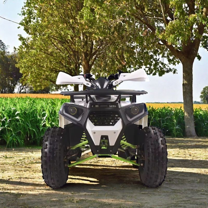 125cc gas aangedreven utility ATV Quad Bike met minimale afstand van 100-150 mm
