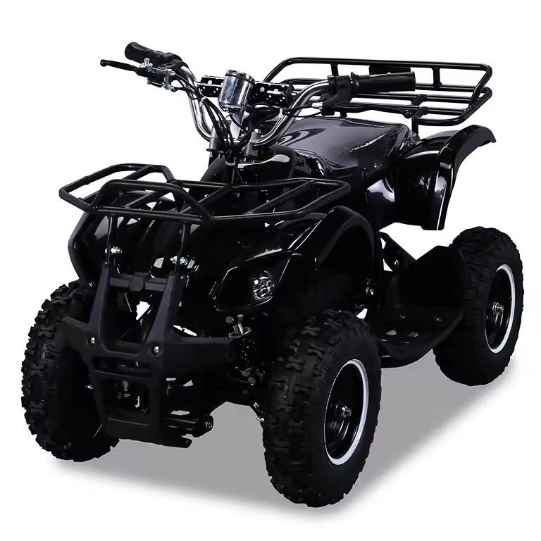 600-1000 mm wielbasis 36V 800W Mini Electric ATV met CE en CHAIN DRIVE transmissie