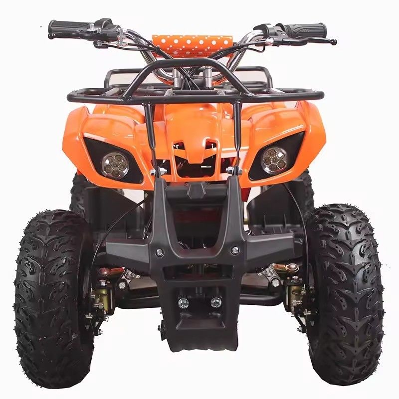 Tiener- en volwassenen elektrische ATVS 48V 1000W Aotong motor gemaakt in met CE-certificering