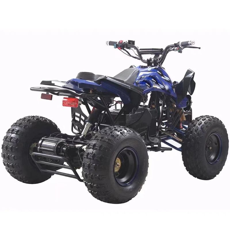 48v 1000w E-ATV met borstelloze motor en minimale afstand van 150-200 mm