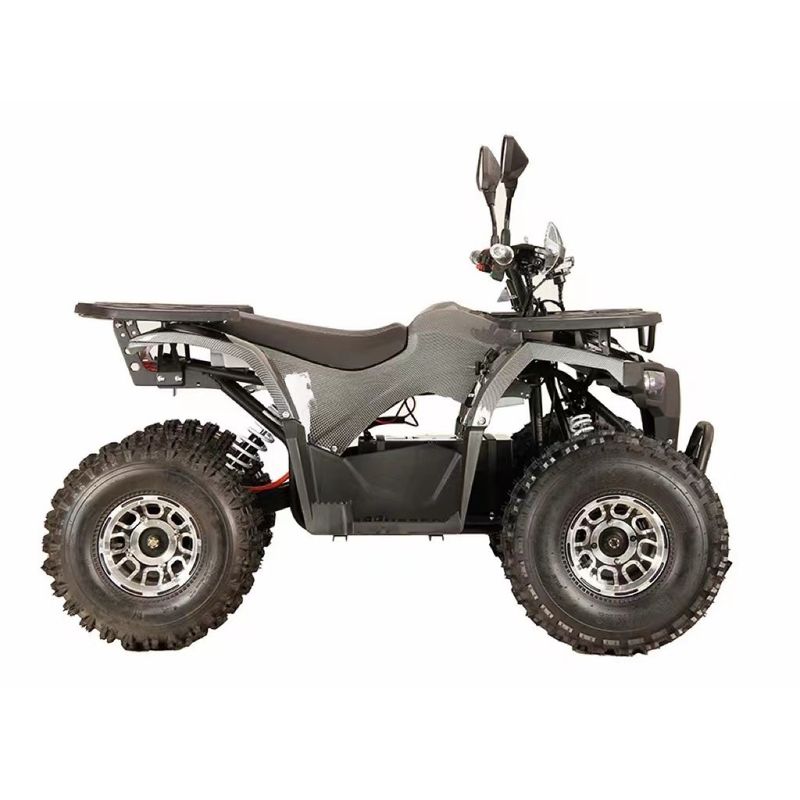Aanpasbare kleuren Electric Quad 1000w48V20Ah met voorste schijf Achterste schijfrem systeem