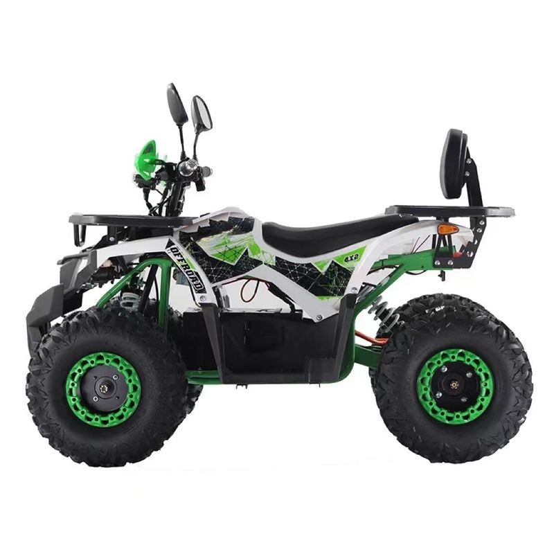 2WD Driving Type Aotong Motor 1000W Electric Side by Side ATV met 60V 20AH batterij