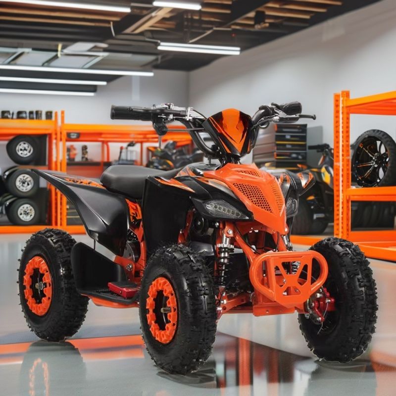 2WD Aotong Motor 800w1000W 36V Off Road Quad ATV Quad Bikes met ketentransmissie