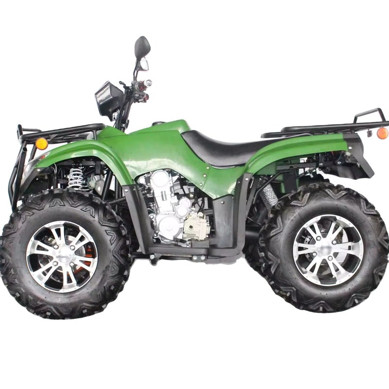 DISC rem 250cc ATV Cuatrimoto voor normen en 23X7-10/22X10-10 banden grootte