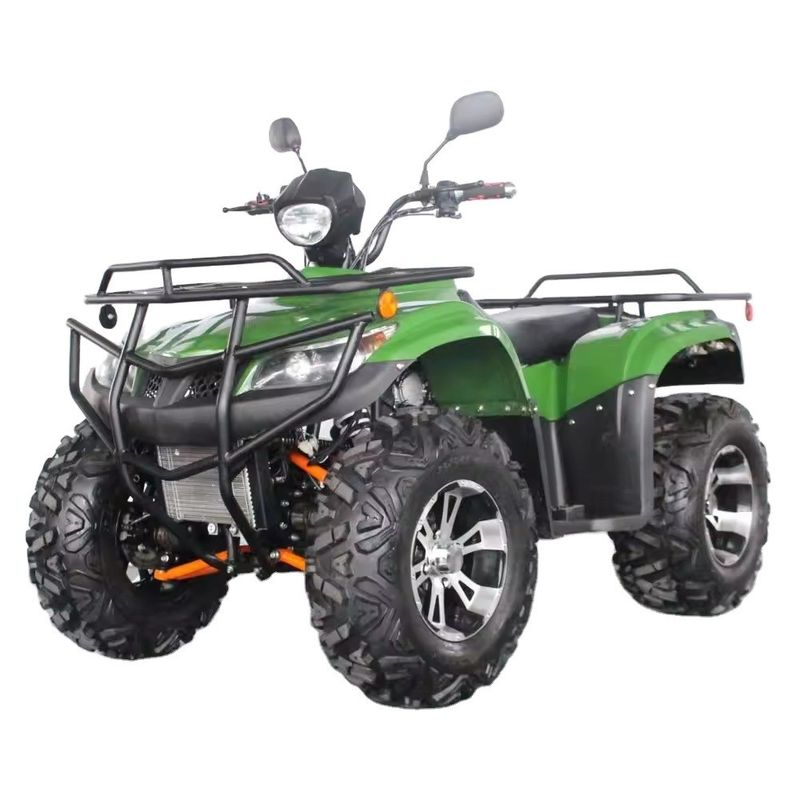 250cc Side by Side Farm ATV Maximale snelheid 75-100Km/h UTV voor volwassenen