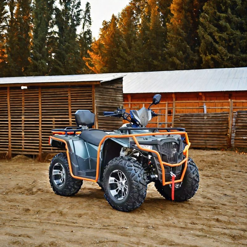 Gepersonaliseerde kleuren 2024 Farm Quads 300cc 4x4 Big Power Utility ATV met Grade Ability