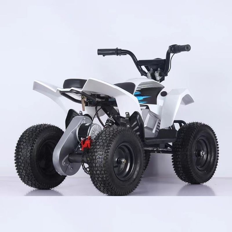 350W Mini Electric ATV Vierwielerfietsen 1000W 36V 12Ah Quadbike met 5-7 uur oplaadtijd