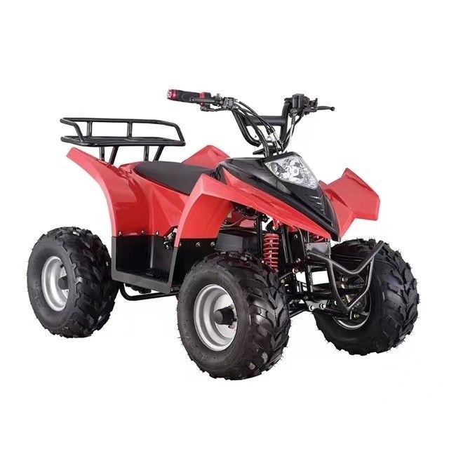 Elektrische vierwiel ATV voor kinderen 750W 800W 1000W 48V band 16x8-7 Rijstervaring ≤30km