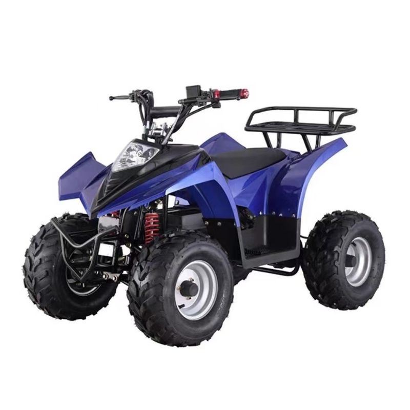 Maximaal koppel ≤ 20Nm 750W Mini ATV voor kinderen in rood/blauw/zwart/groen/geel