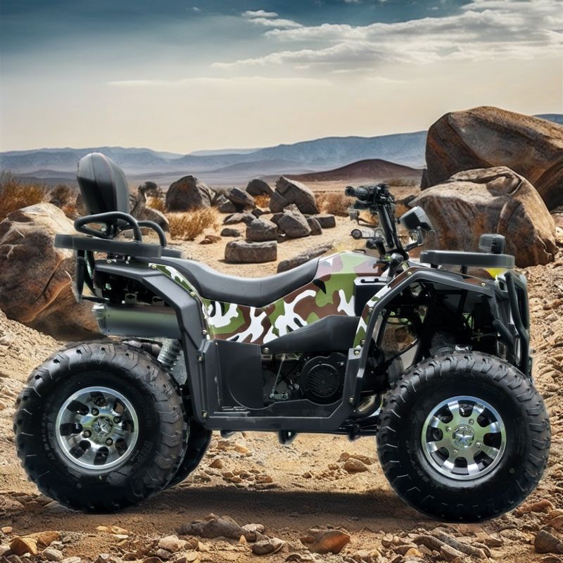 250cc Vierwielig Strand Buggy Keten Drive Dubbel Vierwielig Mountain Cuatrimoto ATV 4x4
