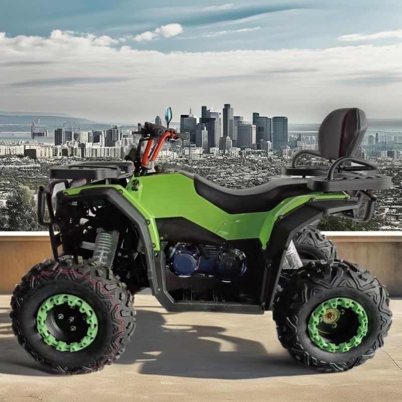250cc Verplasing Vier-takt gas-luchtgekoelde ATV motorfiets voor 2WD rijplezier