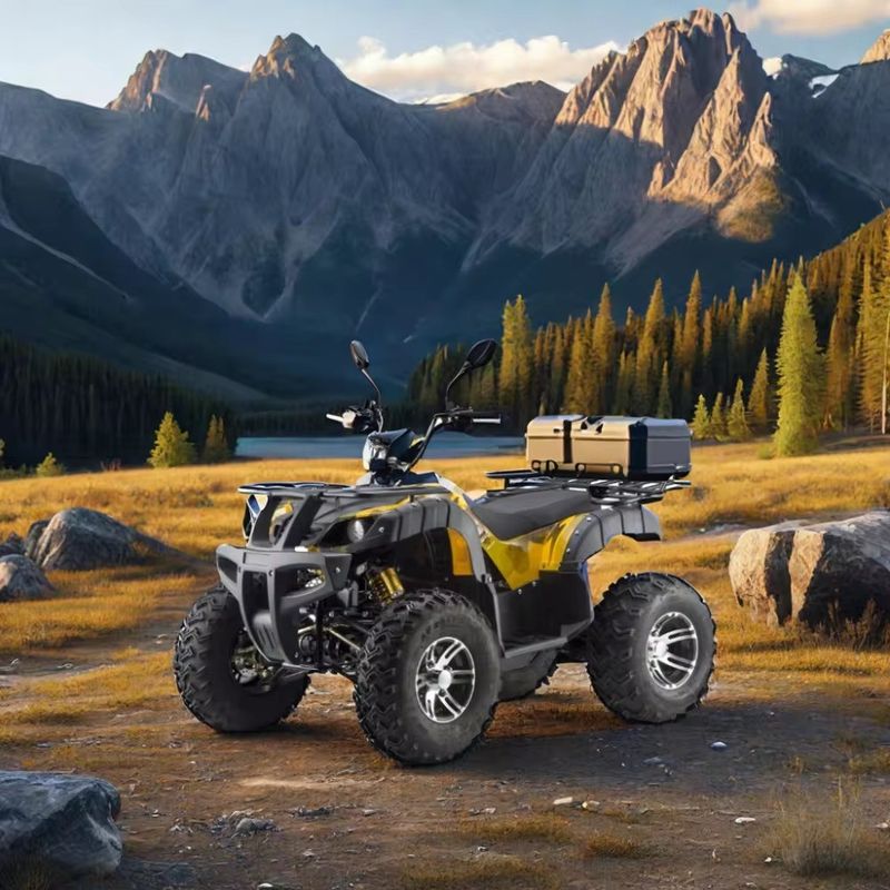DISC Brake Electric 3000w Dune Buggy voor volwassenen 1500w*2 UTV ATV 4x4 Off-Road Vehicle