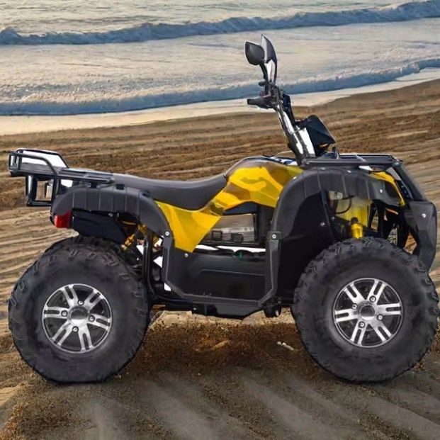 Maximale snelheid 50-75Km/h 3000W elektrische ATV met 4WD en 60v automatische transmissie