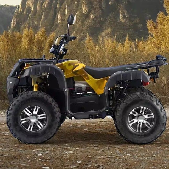 Volwassenen 3000W Electric ATV Quad Gas aangedreven 2WD 4WD met een maximale snelheid van 50-75Km/h