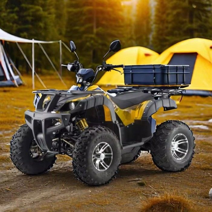 3000W 2wd/4wd ATV UTV Road Vierwielige offroad motorfiets met schakelbaar rijtype