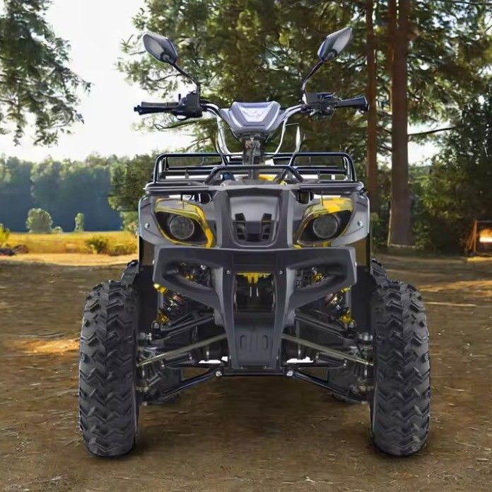 Krachtige 3000W 1500W 4WD 4x4 Moto ATV UTV 1000cc Quad ATV met wielbasis 1800-2200mm