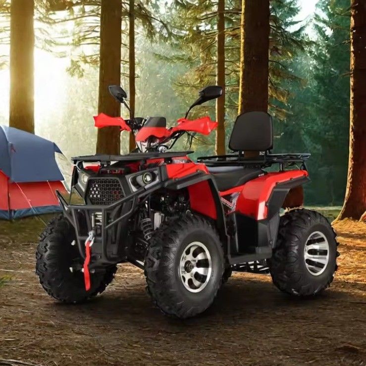 200cc 2X4 4X4 Road Legaal ATV Quad Bike voor volwassenen 200cc Cylinder nummer 1