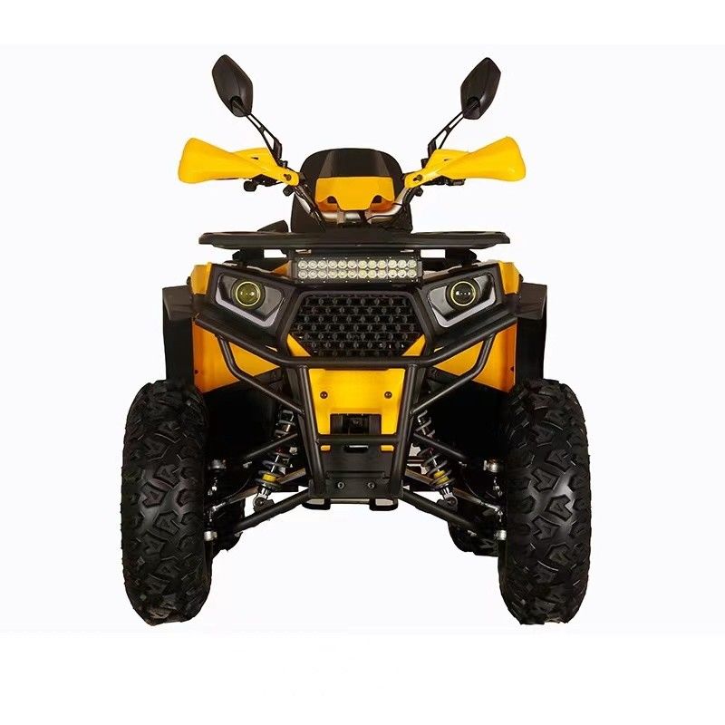 Vierwielaandrijving Volwassen 200cc 250cc Automatische motorfiets ATV met hoge spanning 12V