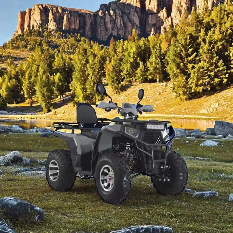 Automatische transmissie type vierwiel off-road motorfiets voor volwassen off-road rijden