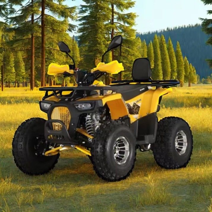 125cc Farm Quads ATV voor volwassenen Krachtige gas / dieselmotor en keten aandrijving
