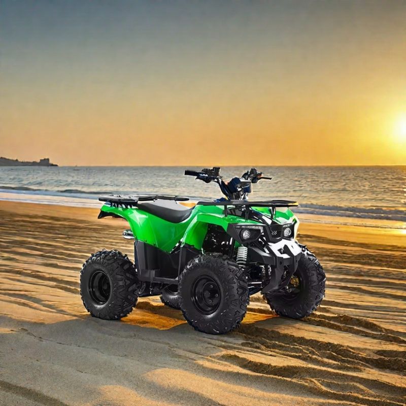 Automatische transmissie type Aotong Motor 110cc 125cc 150cc Cuatrimoto ATV voor volwassenen
