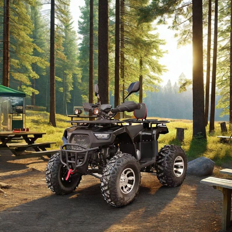 2WD Maximale snelheid 50-75Km/h 125cc 150cc 200cc ATV's UTV's Off Road Cuatrimoto