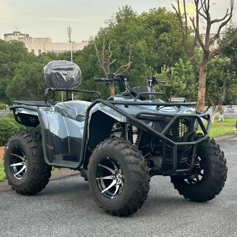 Direct 300cc 350cc 4x4 ATV met aandrijflijn en 25x8-12/25x10-12 banden