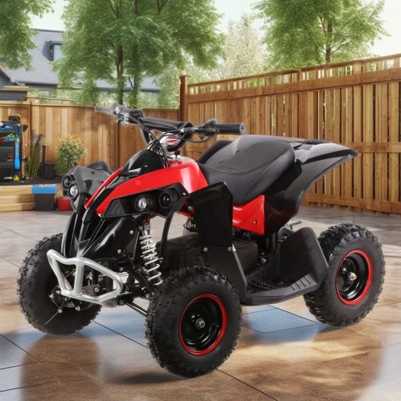 1000W elektrische ATV automatische quadfiets voor off-road berg-cross-country excursies