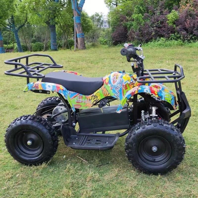 36V 500w 4 wielen offroad motorfiets buggy Ervaar de kracht van keten aandrijving