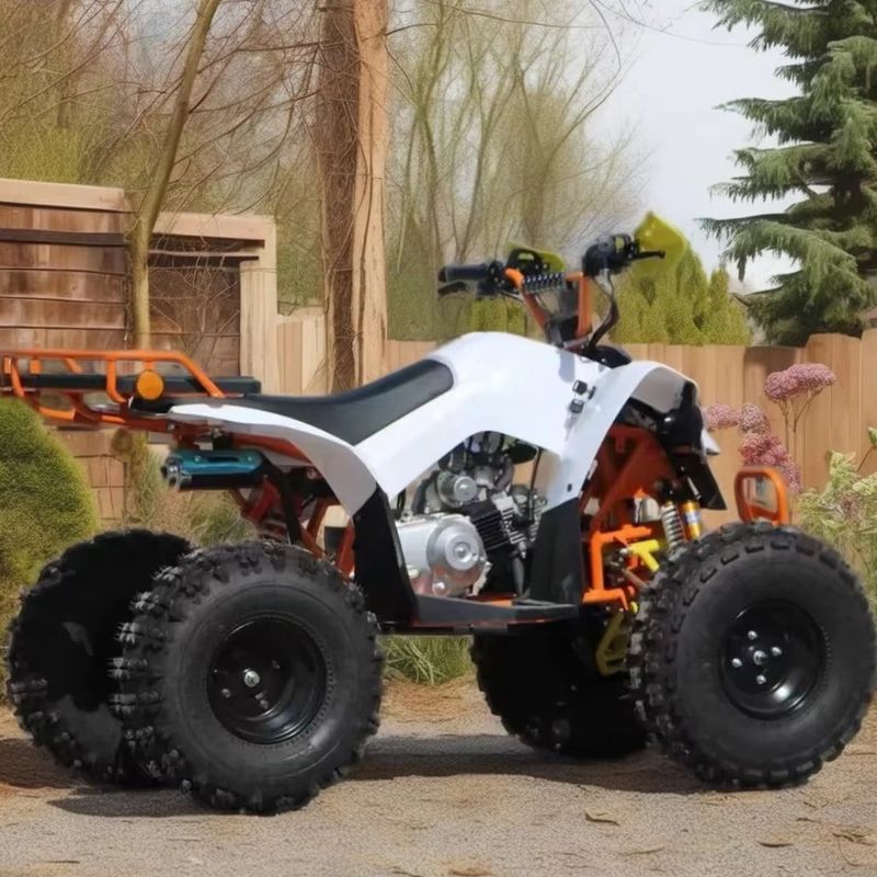 110cc-125cc Automatische ATV voor volwassenen CE goedgekeurd 8 inch band benzine quadbike grote wielen