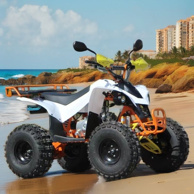 125/150cc Vierwiel ATV Voortrommel Achter schijferrem voor landbouwdoeleinden