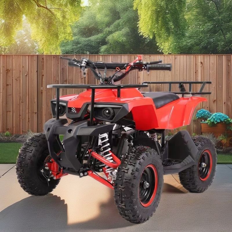 49cc Mini Quad met laag brandstofverbruik Maximaal koppel Nm ≤20Nm Brandstofgas / Diesel