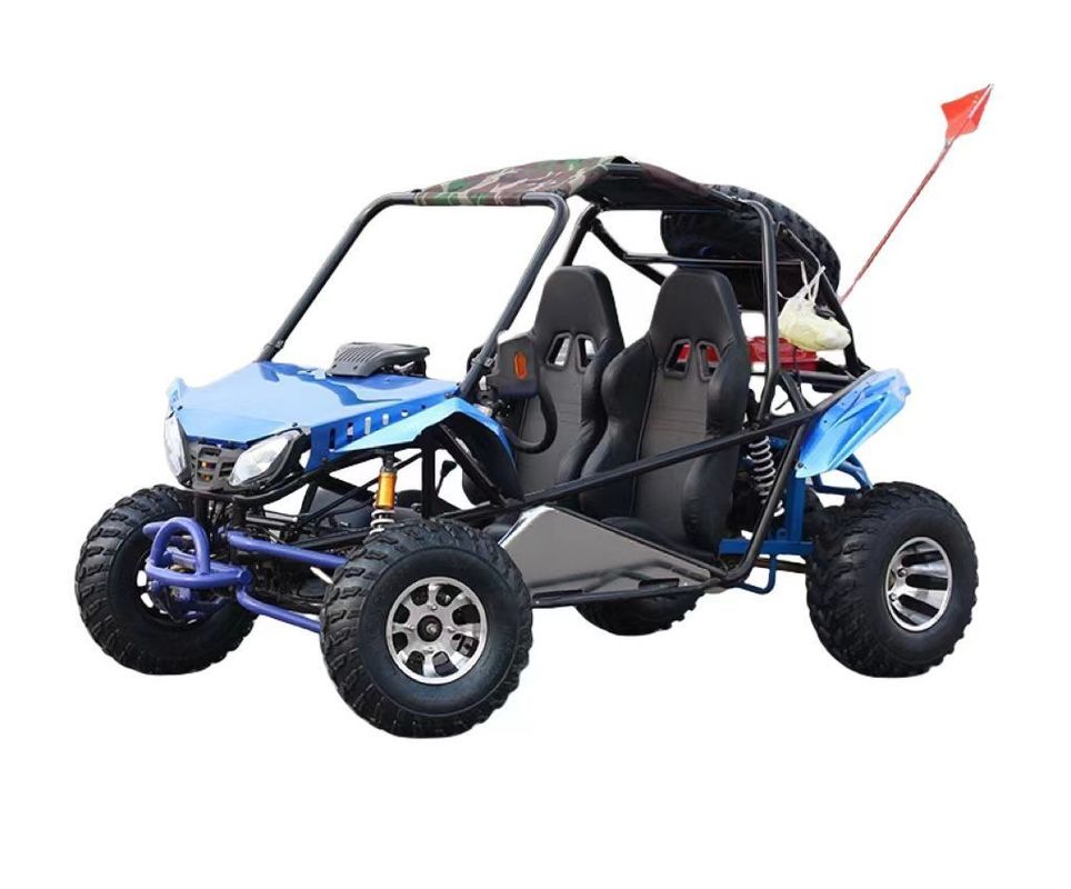 200cc Go Karts ATV Quad 2WD Off-Road Buggy met vacuümbanden en 200-300 kg stopt gewicht